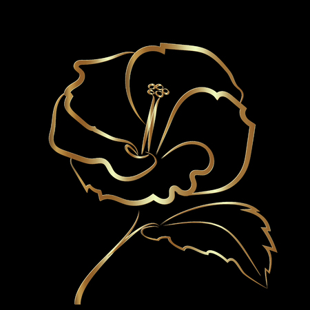 Hibiscus flower sketch gold, rich, elegant and exquisiteのイラスト素材