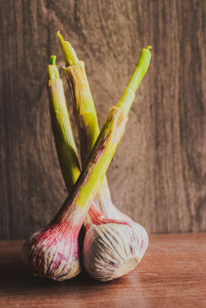 Organic young garlic on wooden board with copy space, rustic styleの写真素材
