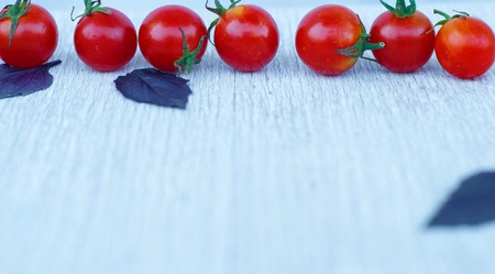Cherry tomatoes with basil leaves on white Shabby backgroundの写真素材