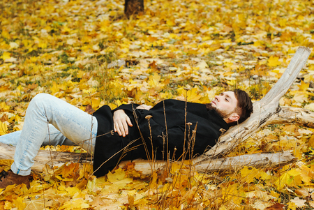 Portrait of young handsome bearded man, wearing warm clothes, alone in the autumn city parkの写真素材