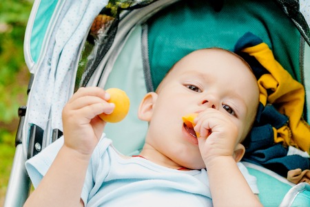Little baby boy sitting in the stroller and eating an apricotの写真素材