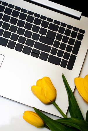 Stylish flat lay home office desk workspace with laptopTop view lifestyle blog. Flat lay, Bunch of spring tulip flower.A bouquet of spring flowers with laptop. Spring Tulips Background. Mothers day.の写真素材