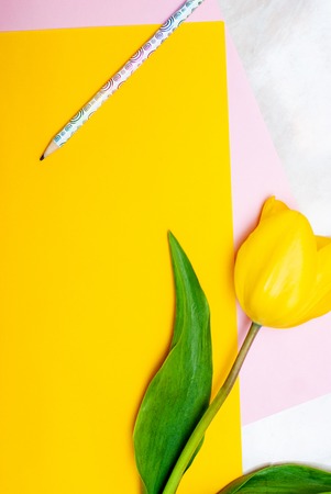 Yellow tulip, pencil and colorful paperの写真素材