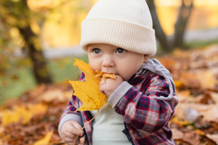 Little cute baby boy have fun outdoors in the park in autumn time