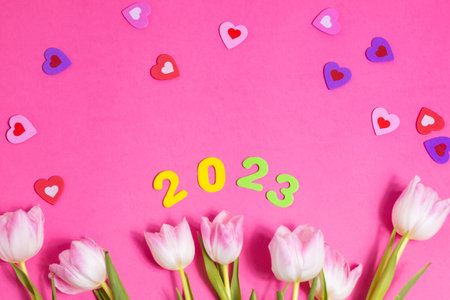 beautiful tulips flowers pink background. High quality photoの写真素材