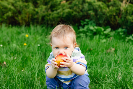 Cute little toddler boy eating ripe red apple outdoor