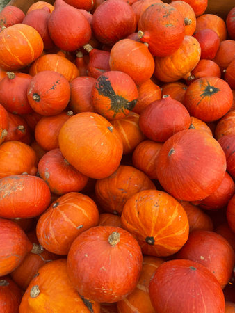 Orange pumpkins at outdoor farmer marketの写真素材