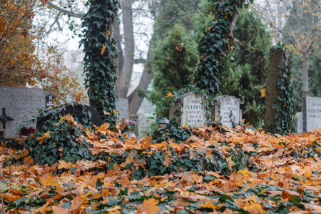 Old blank cemetery tombstones on a fall day.の写真素材