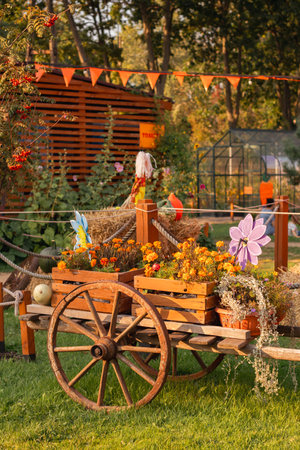 Large orange pumpkins on a rustic cart. Big harvest concept, thanksgiving, halloweenの写真素材