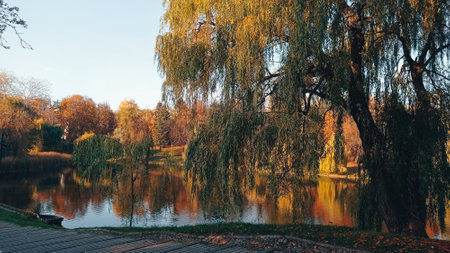 Beautiful autumn park. Mirror reflection of trees in water.の写真素材