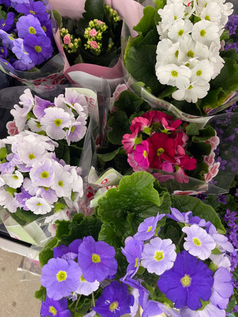 Colorful spring flowers in delicate arrangements at a local marketの写真素材