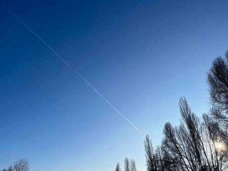 Clear blue sky with contrails and silhouettes of trees at sunsetの写真素材