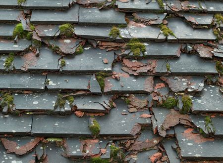 Crumbling tiles with moss on derelict roofの写真素材