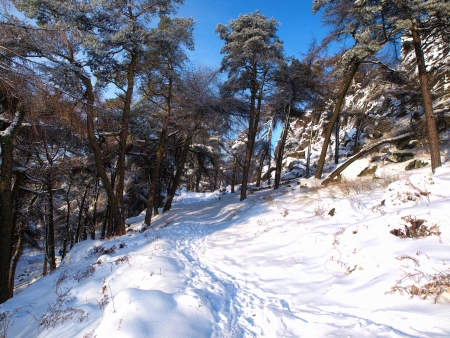 A snow covered path in The Roaches, Peak District beauty spotの写真素材