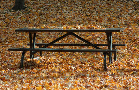 Autumn table