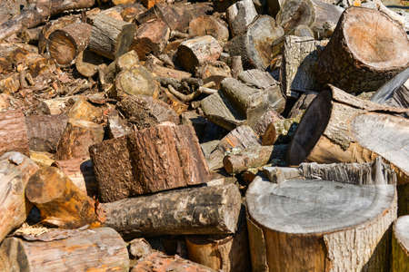 Materials loaded with large quantities of stumpsの写真素材