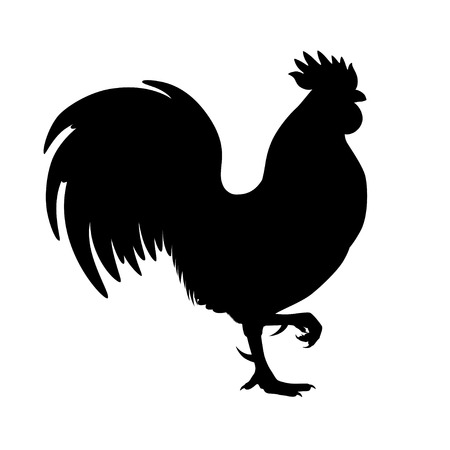 Vector illustration. Black silhouette of a rooster standing on one leg. Isolated on a white background.のイラスト素材