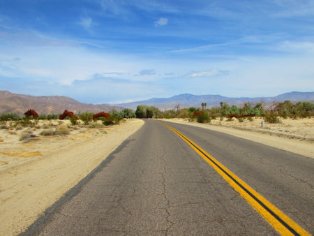 View of Road to Galleta Meadows in Borrego Springs California