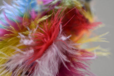 Colorful Feather Texture Close Up and Bigの写真素材
