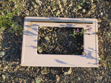 Retro Pink Oven Door by Purple Wildflowers Abandoned in Arizona Desertの写真素材