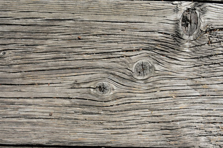 Real Weathered Wood with Knots, Floor Board from a Pedestrian Bridgeの写真素材
