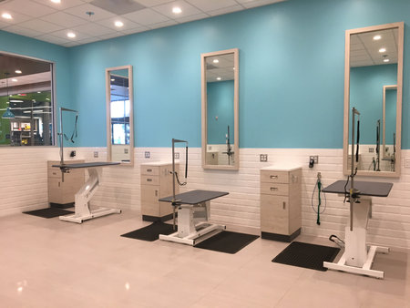 Empty Clean Grooming Salon, Blue Interior with Tables and Mirrorsの写真素材