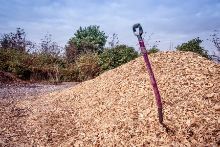 Purple shovel in a big pile of mulchの写真素材