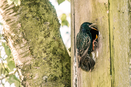 High resolution photo in best qualityの写真素材