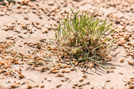 High resolution photo in best qualityの写真素材