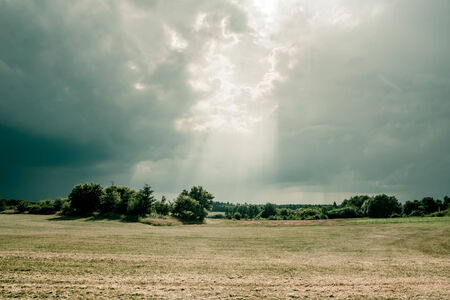 Green fields and cloudy weatherの写真素材