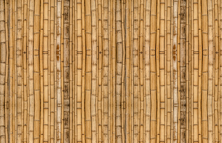 Bamboo fence background with vertical alignmentの写真素材