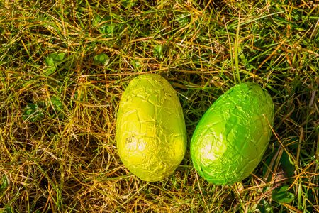 Green and yellow easter eggs in green grassの写真素材