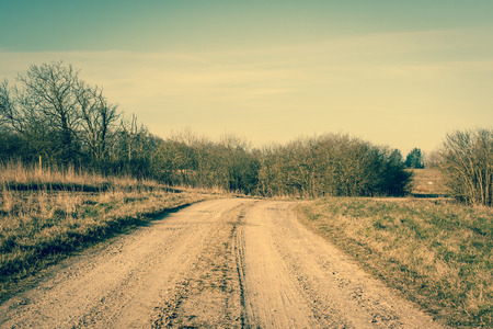 Dirt track road with trees in autumnの写真素材