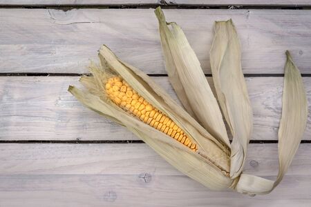 Fresh raw corn on wooden planksの写真素材