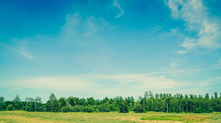 Panorama landscape with green field with trees and blue skyの写真素材