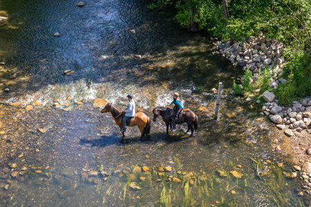 VESTBIRK, DENMARK - JULY 16 - 2015: Horses trying to cross the river at the rediscovered bridge in Vestbirkのeditorial素材