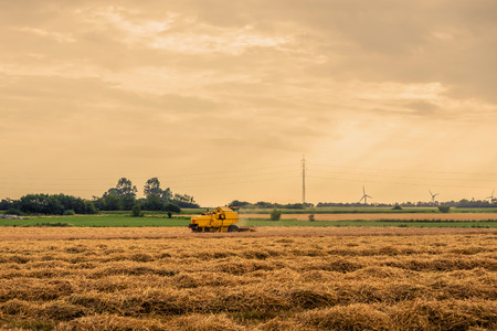 Agricultural machine on a field with hayの写真素材