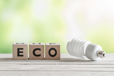 Big eco bulp on a wooden table on green background