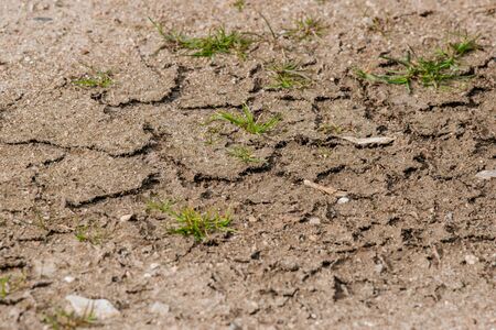 Dry soil with cracks and green grass