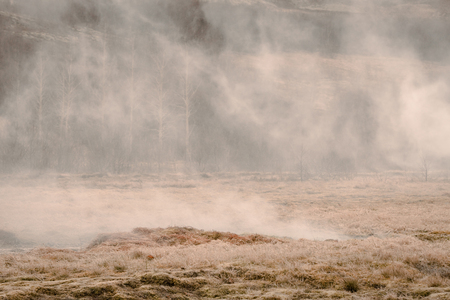 Misty field with a mystic fog in the morningの写真素材