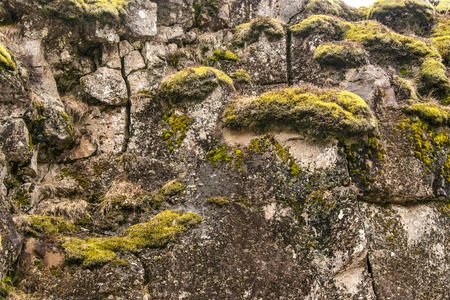 Closeup of green moss on cliffs in Icelandの写真素材