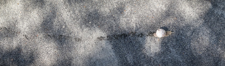 Snail leaving a trail in gravel in panoramaの写真素材