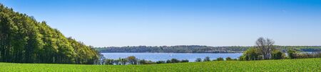 Green fields and trees by the sea in panoramaの写真素材