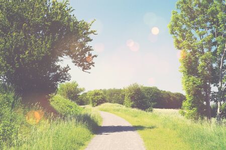 Nature trail in a summer landscape with sunshineの写真素材