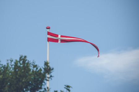 Danish pennant in the wind with trees in the frontの写真素材