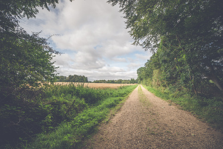 Countryside landscape with a dirt trail surrounded by trees and meadowsの写真素材