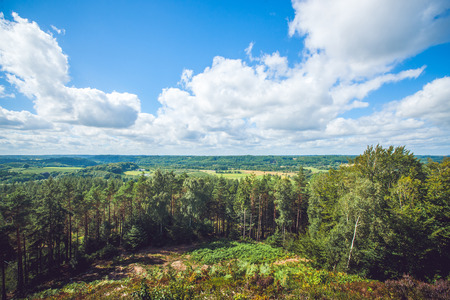 Landscape view over trees and green meadows in blue skyの写真素材