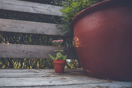 Flower pots in dark red color with summer flowersの写真素材