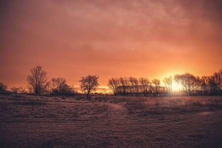 Beautiful sunrise in a countryside landscape in the morning with tree silhouettes on a field with frost in the winterの写真素材