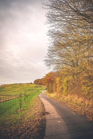 Curvy road in a countryside landscape in the fall with colorful trees and bushes by the road in a rural sceneryの写真素材